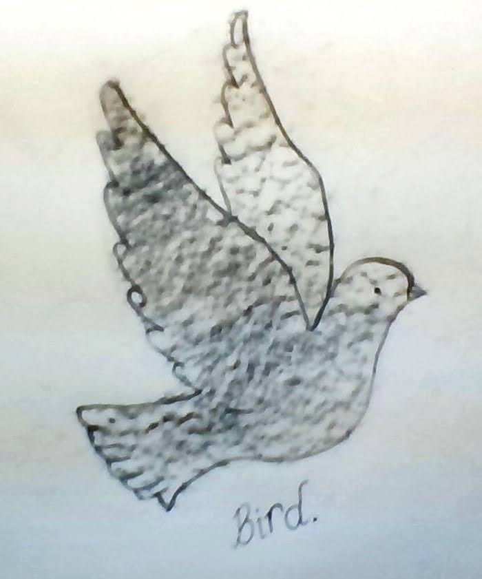 bird drawing with wall texture